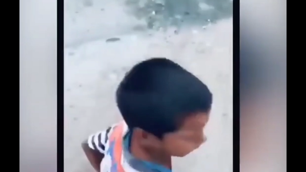 Chalo Meme Video