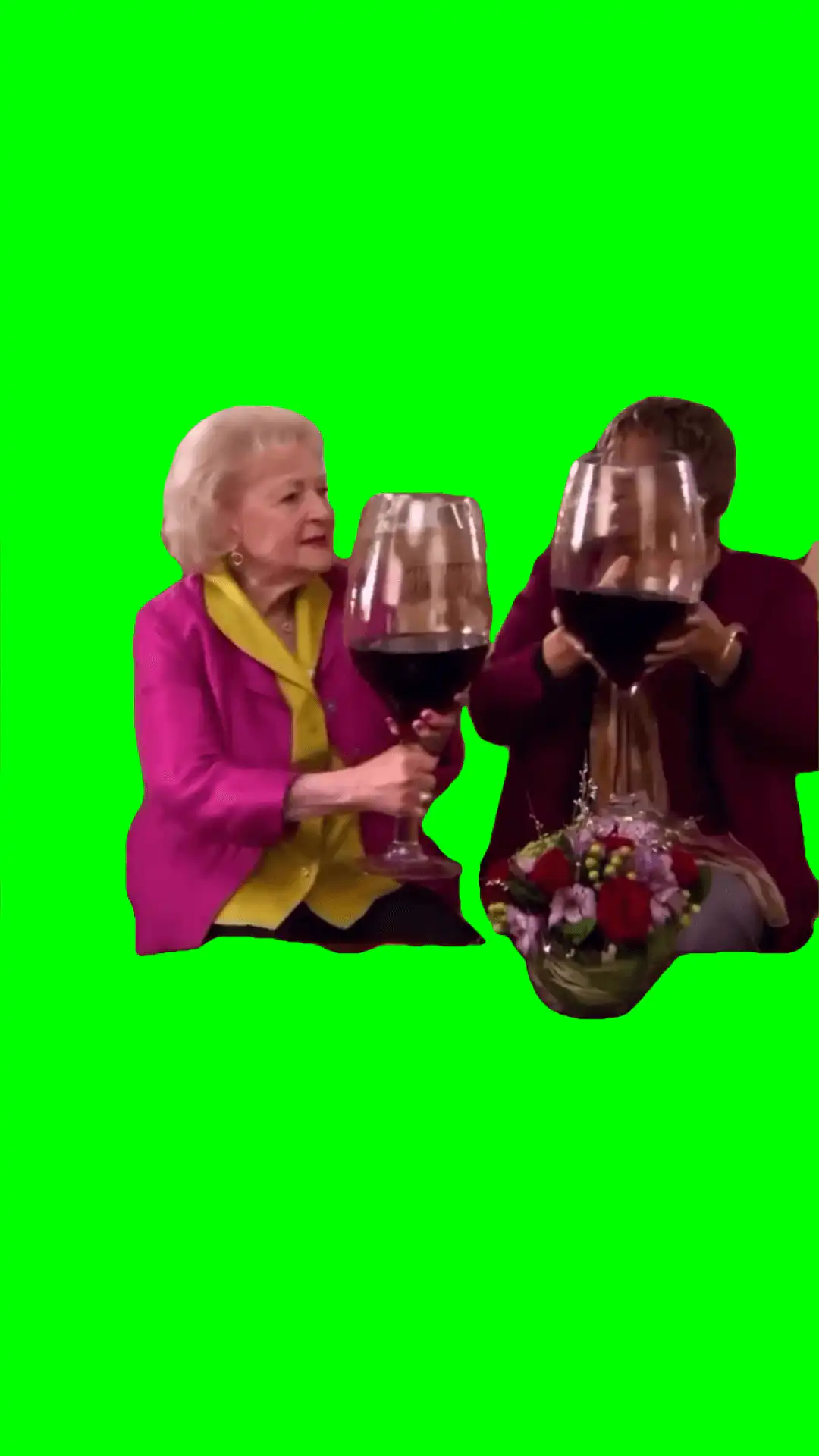 Cheers Meme green screen