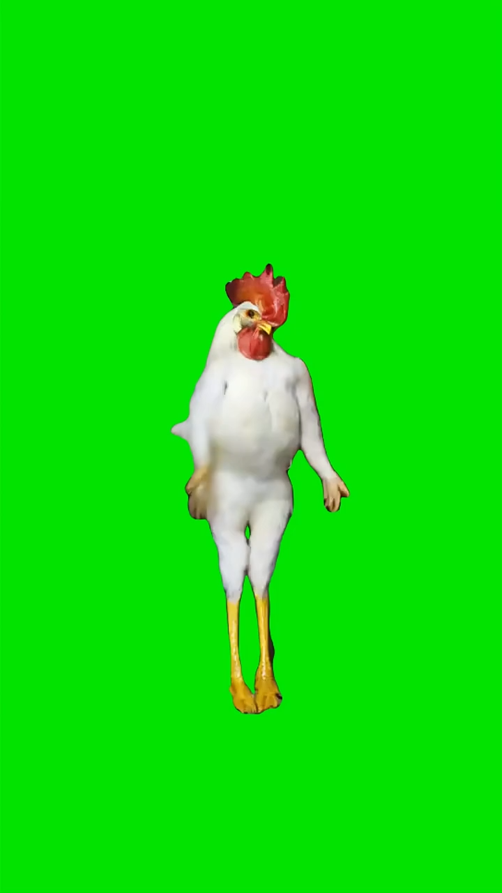 Chicken Stars Green Screen Memes