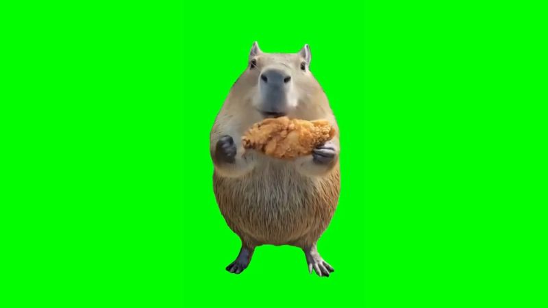 Chicken Win Song Meme Template