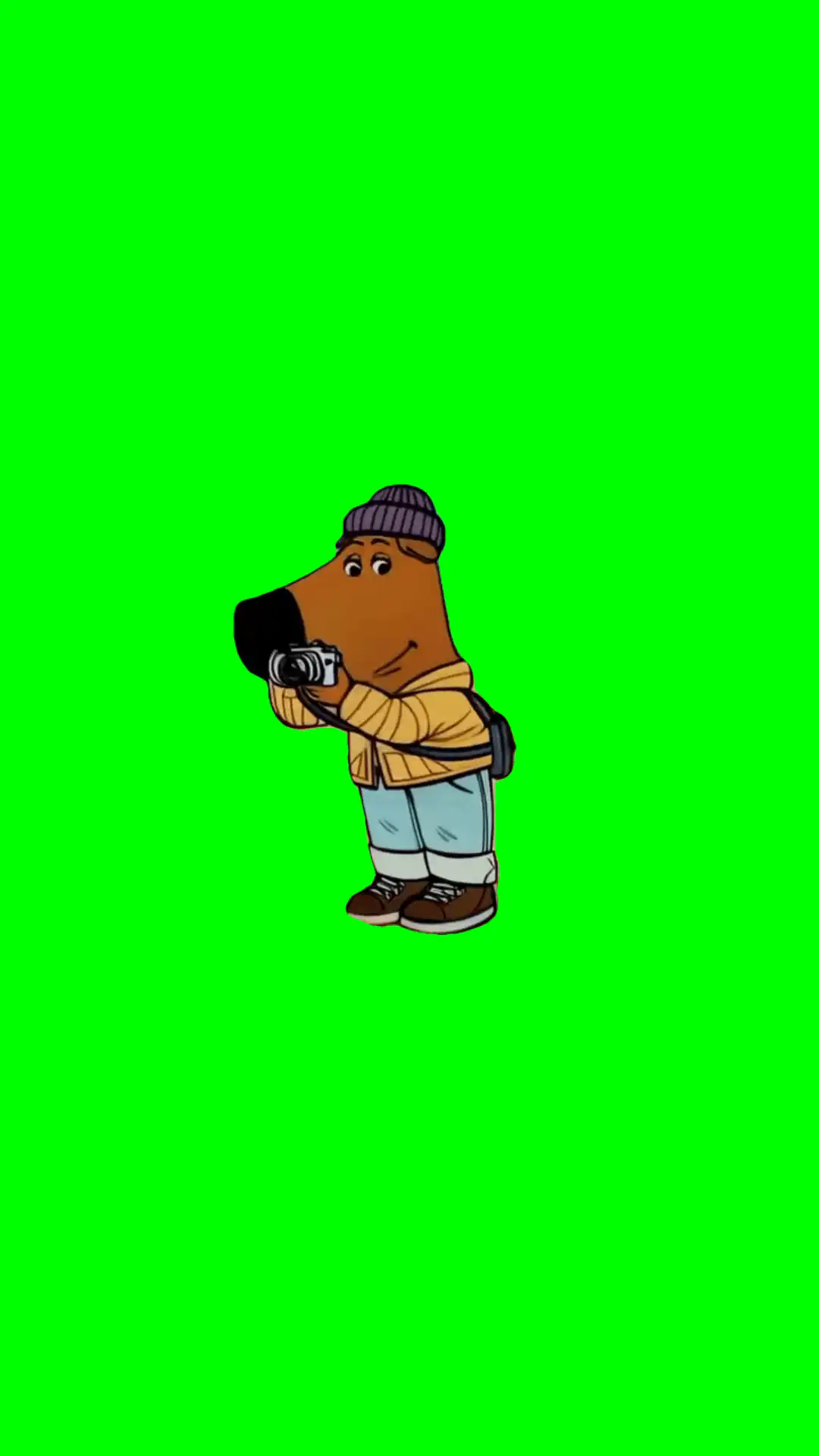 Chill Guy Photography meme green screen