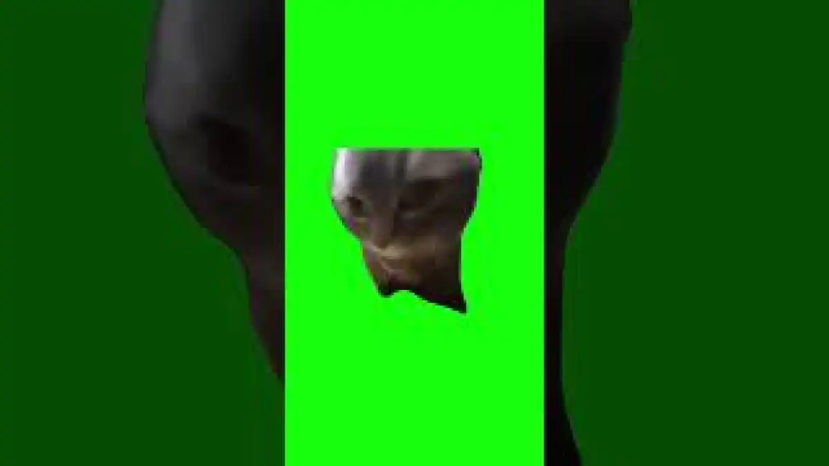 Chipi Chipi Chapa Chapa Cat Green Screen