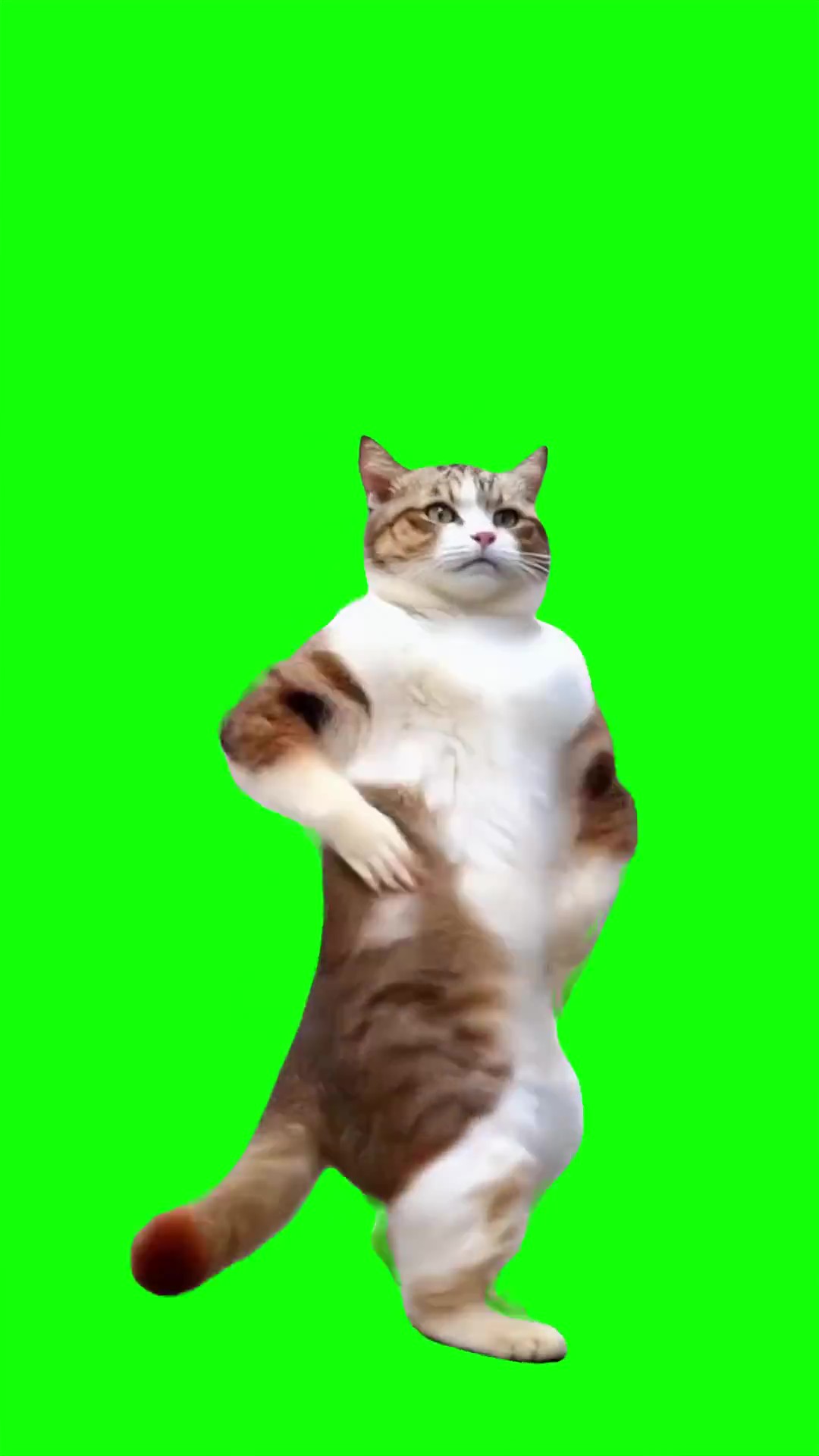 Coco Chanel dance Green Screen Meme