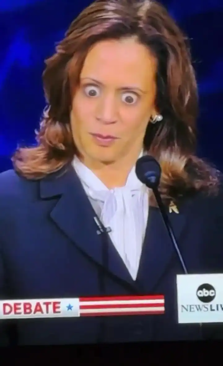 Confused kamala meme