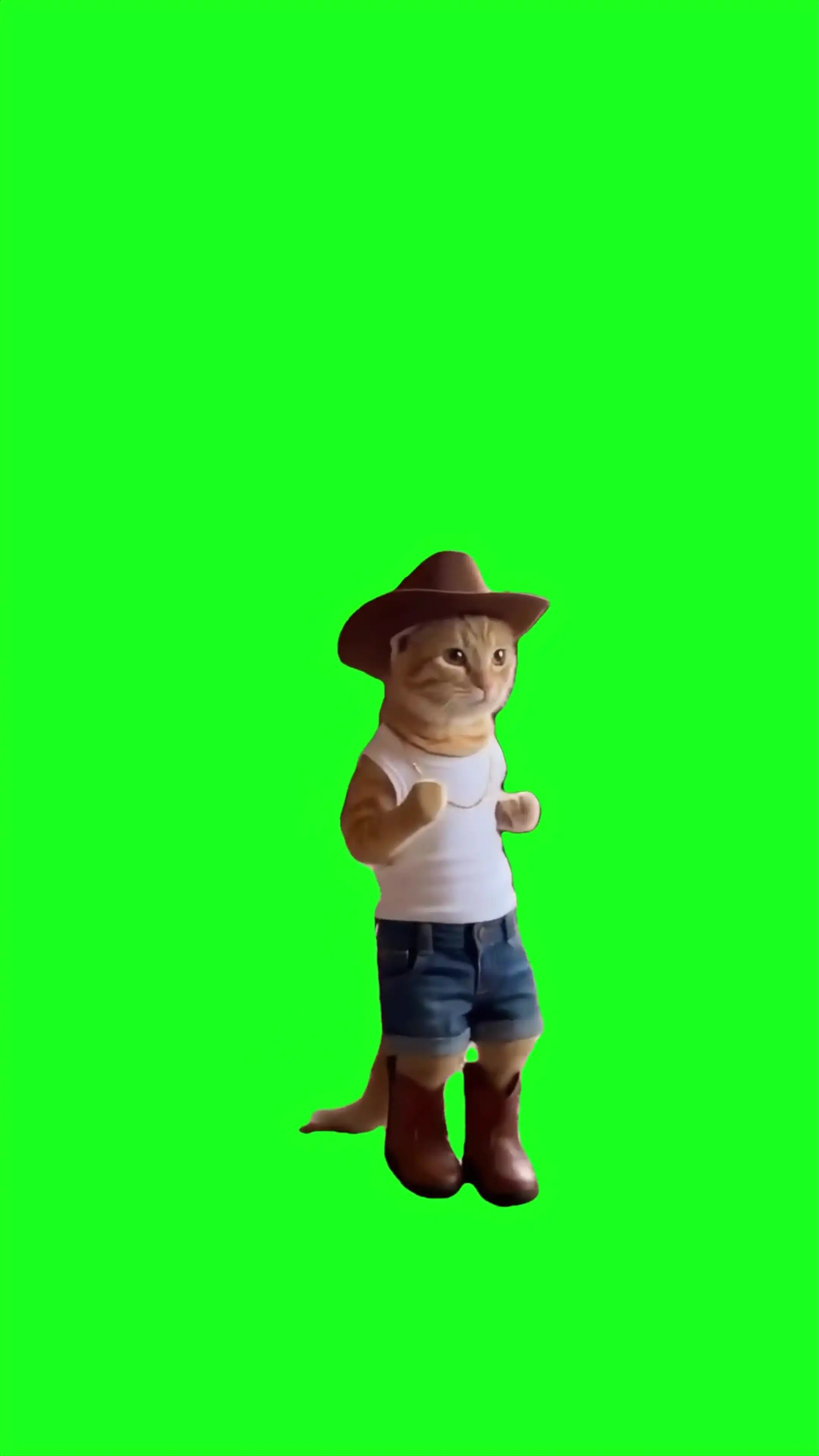 Cowboy cat dancing Green Screen Meme