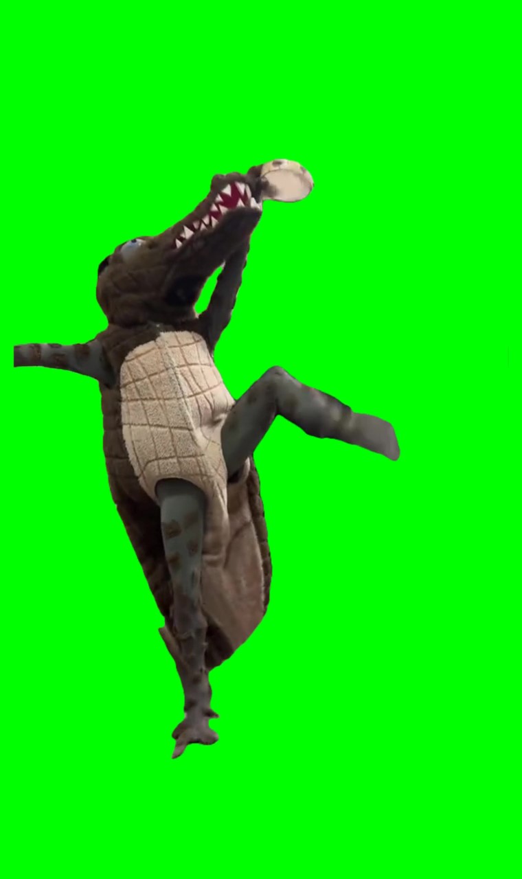 Crocodile dancing green screen