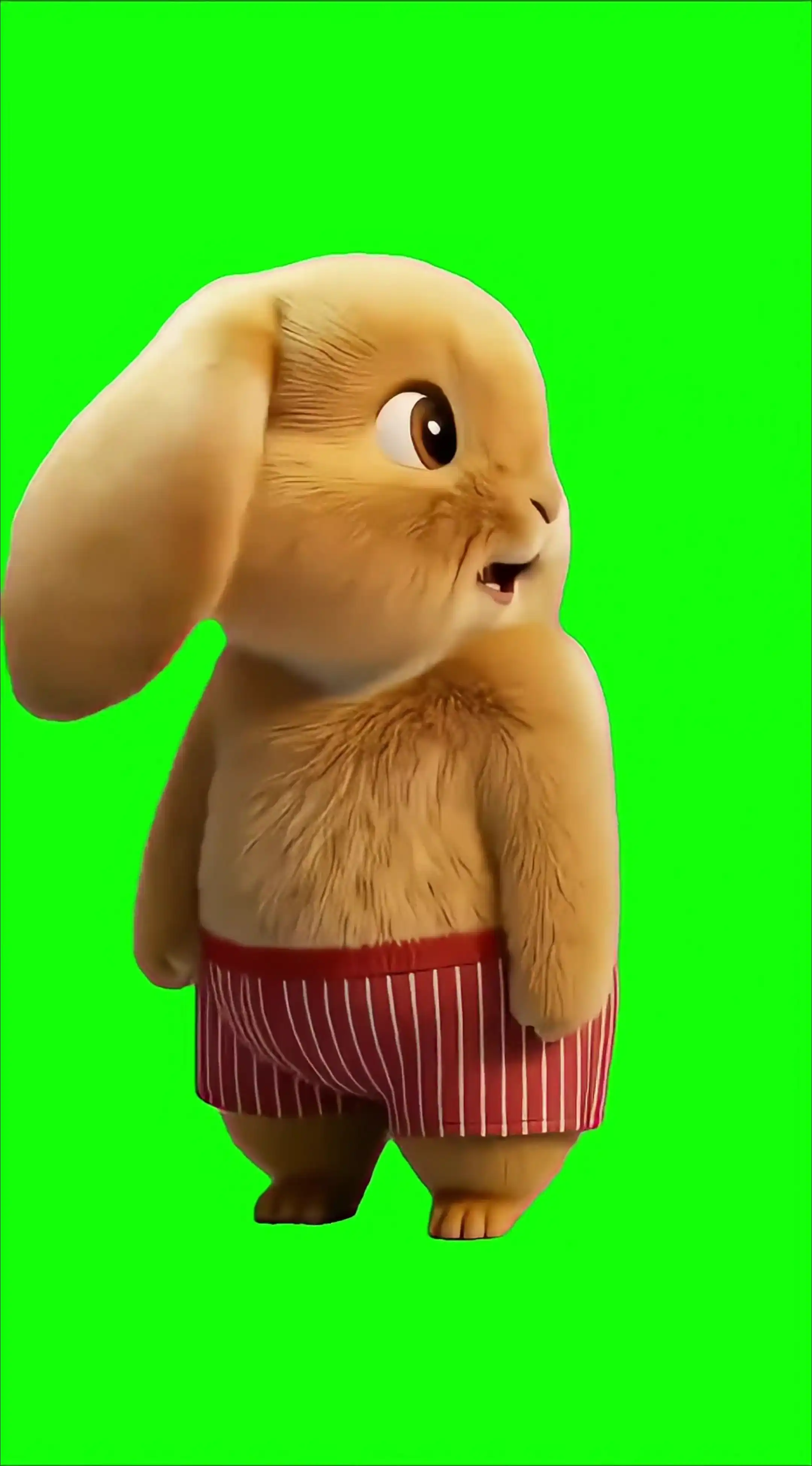 Cute bunny dancing Green Screen Meme