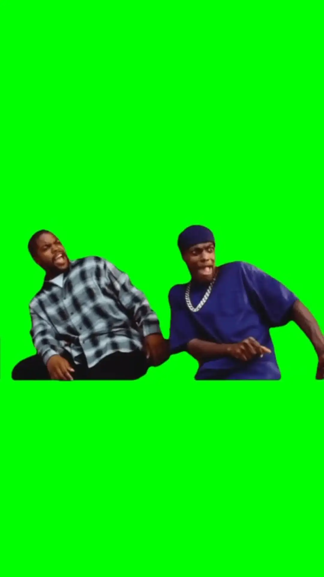 Daaaammmnnn meme green screen