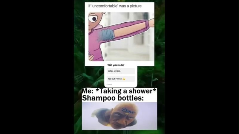 Daily Hilarious Funny Memes
