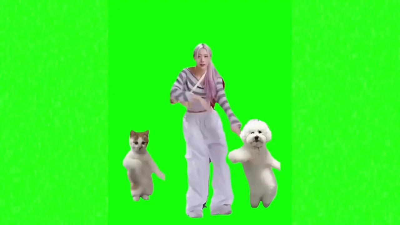 Dance meme Green Screen