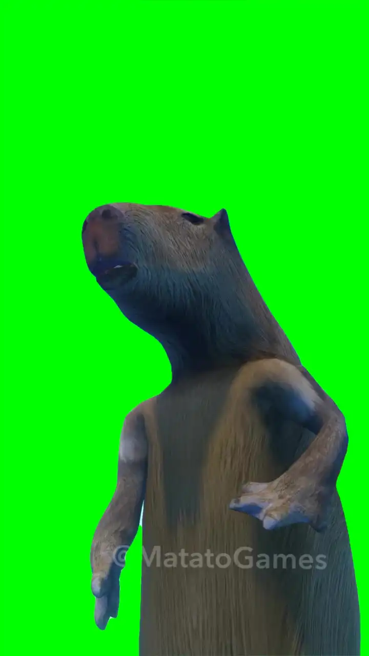 Dancing capybara Meme Green Screen