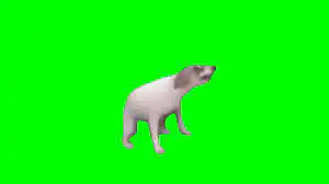 Dancing Dog Brazilian Green Screen