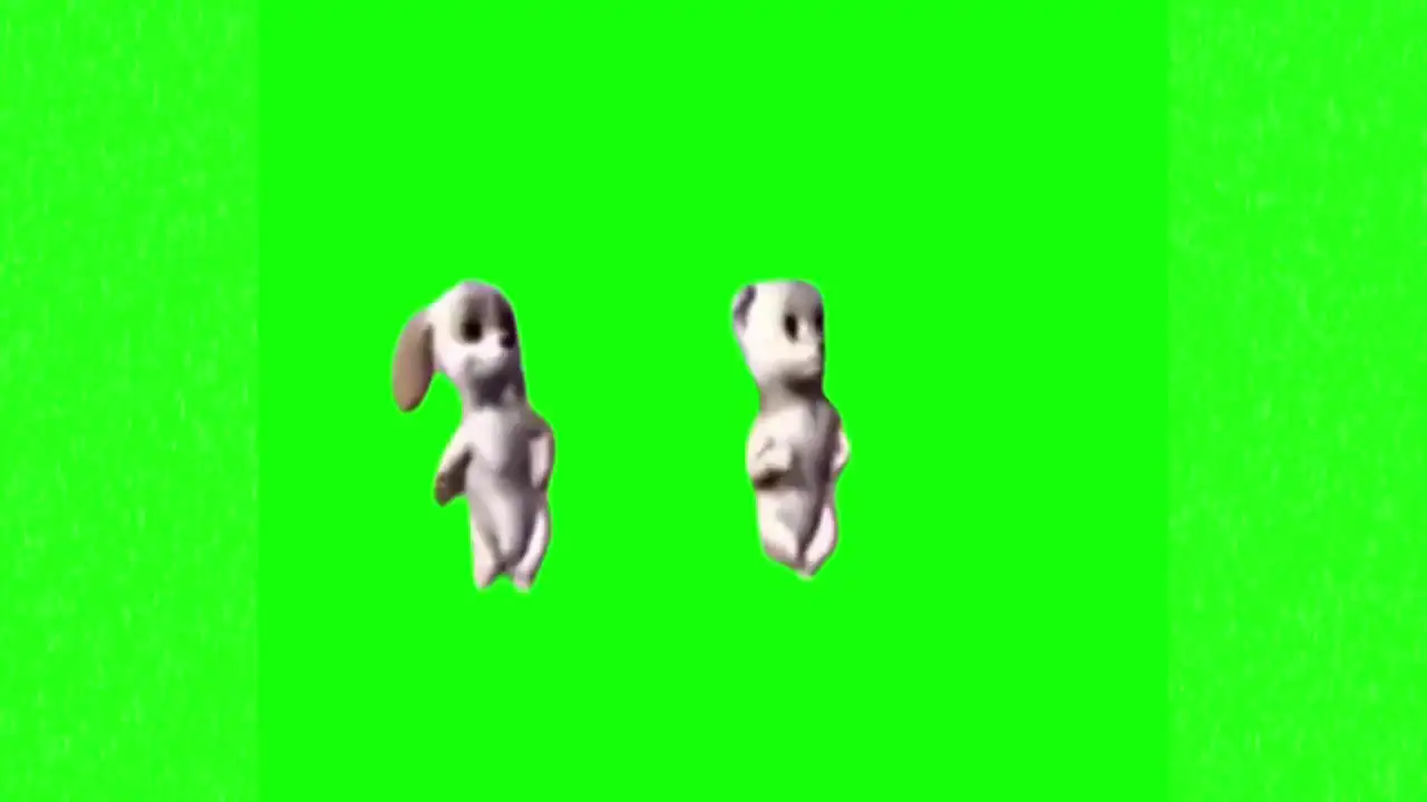 dancing dogs meme green screen