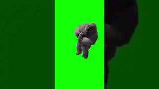 Dancing Gorilla green screen