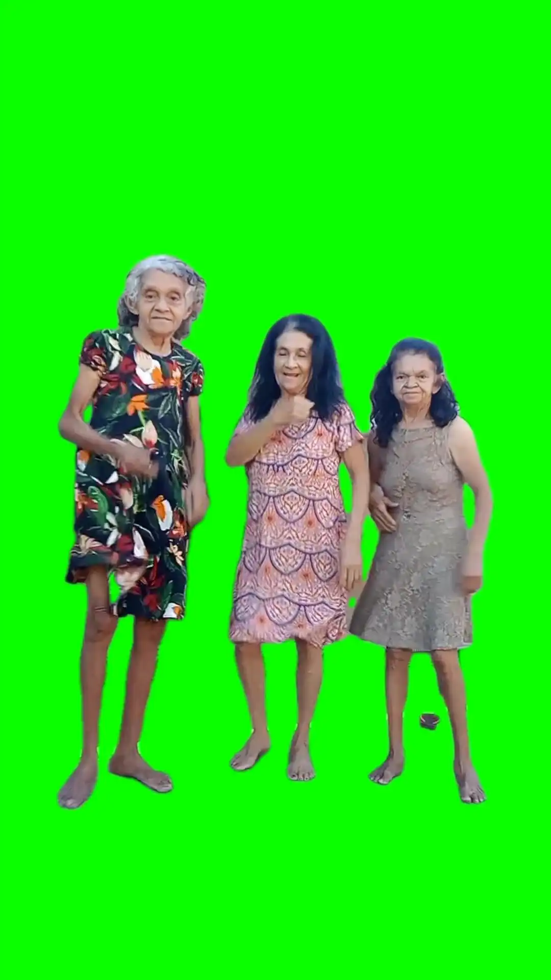 Dancing grannies green screen