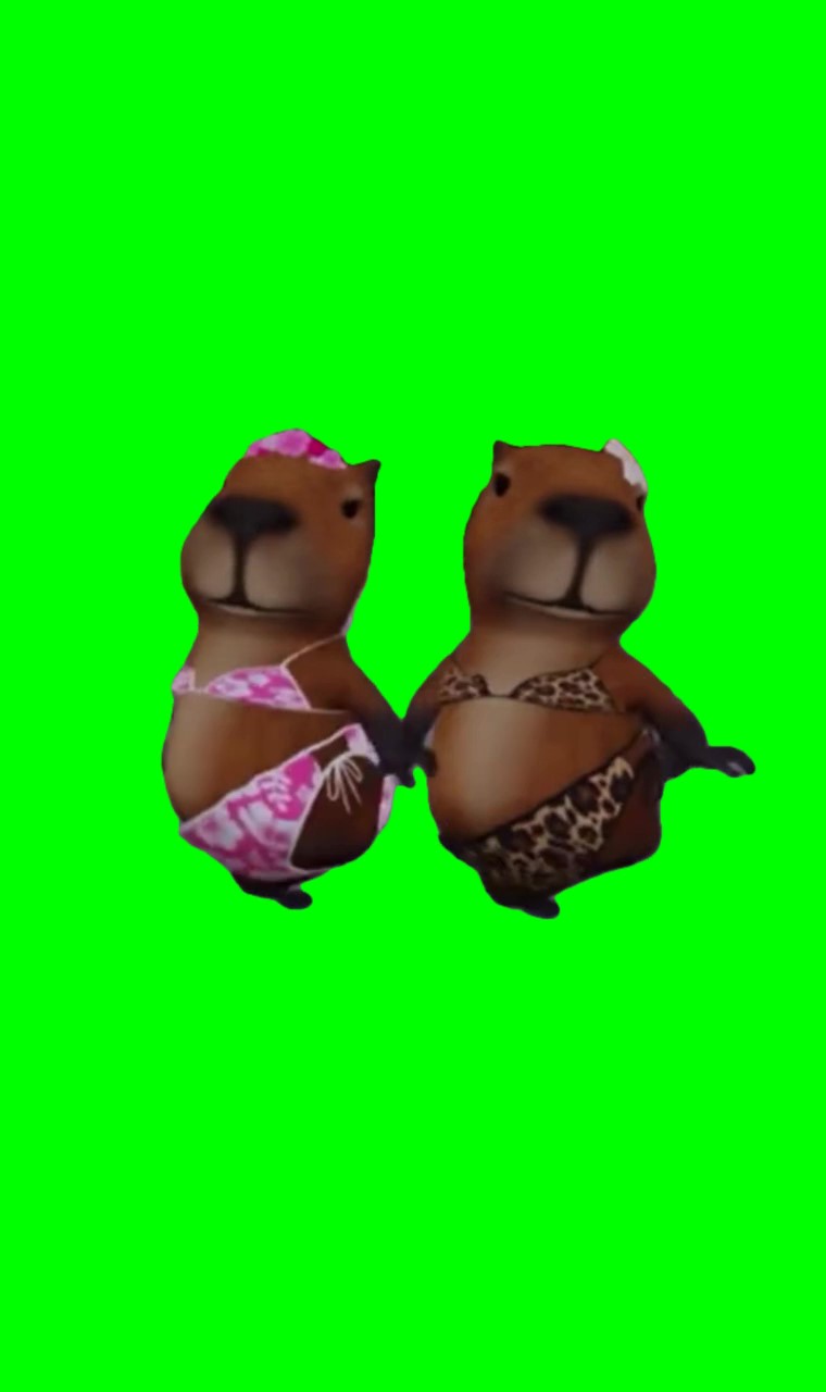 Dancing hamsters meme green screen