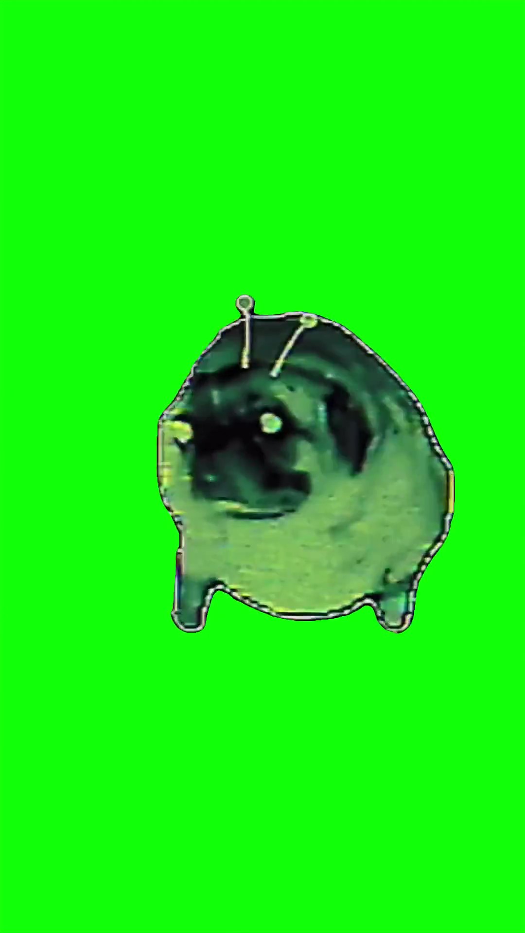 Dancing in ghetto Alien Pug