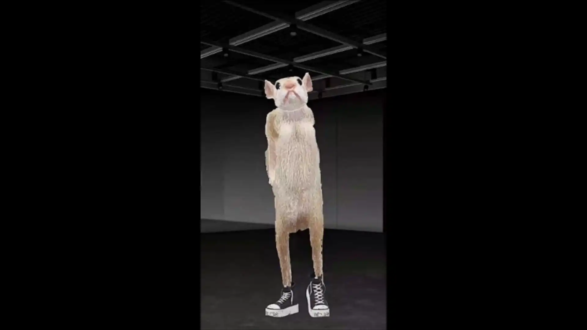Dancing rat meme