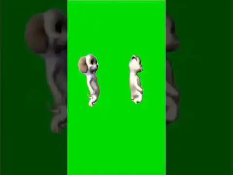 dancingdog Green screen