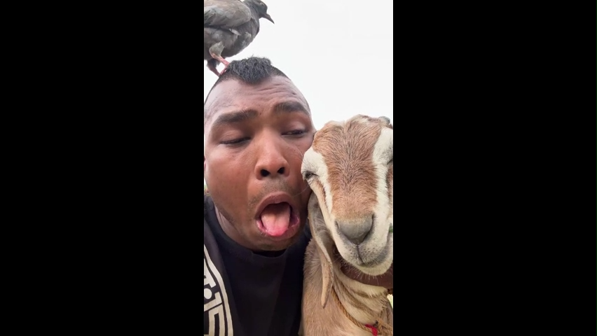 Dog and Men Comedy Viral Memes