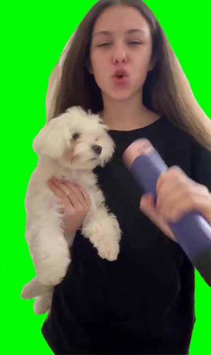 Dog and the fan meme green screen