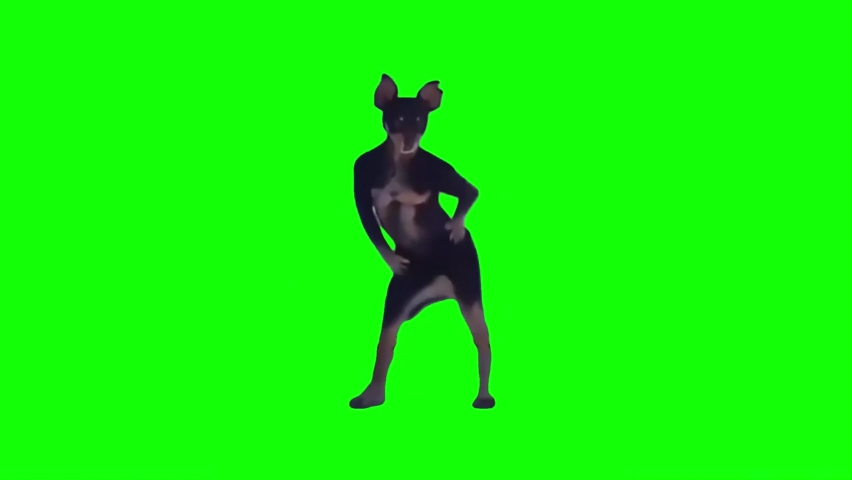 Dog Dancing Green Screen Memes