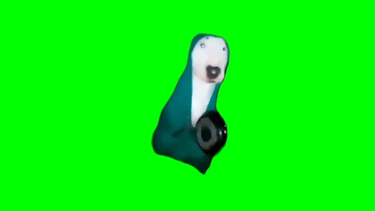 Dog hitting pan meme green screen