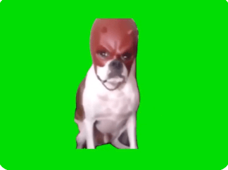 Dog in a red mask Meme Green Screen