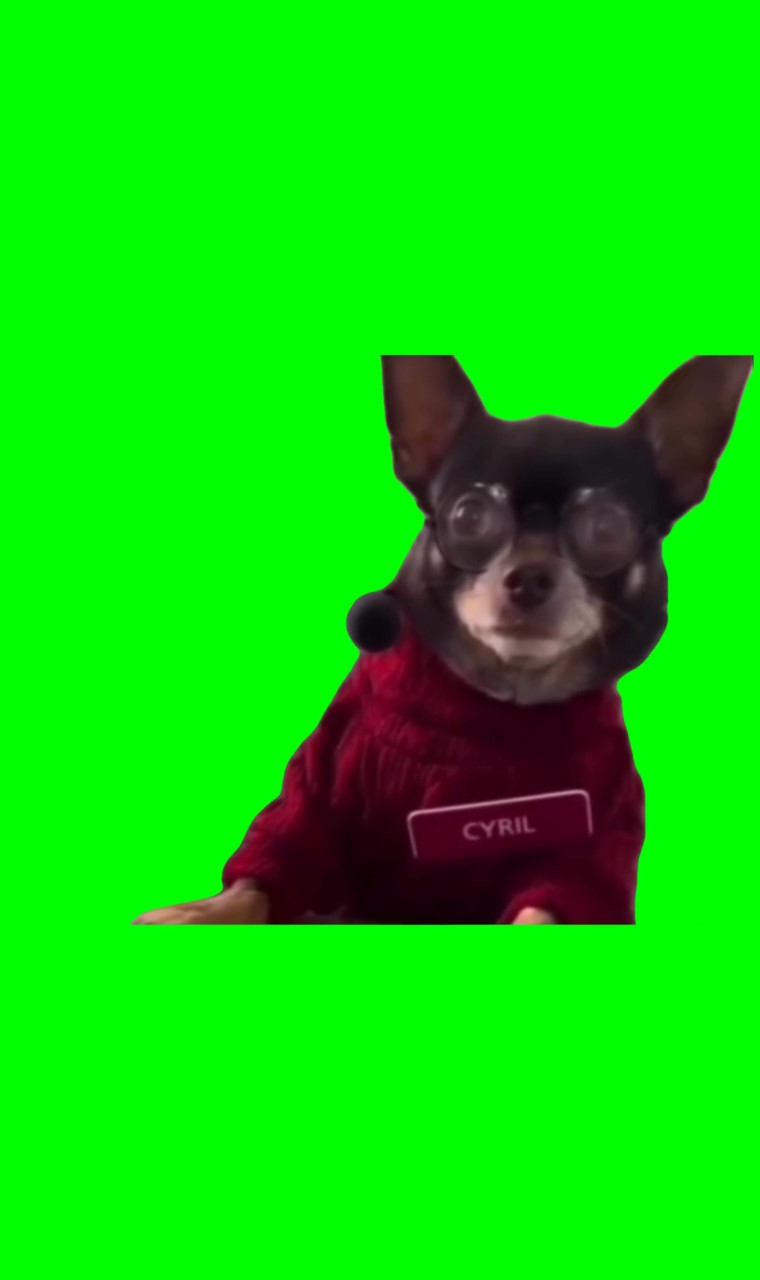 Dog Looking Meme Green Screen