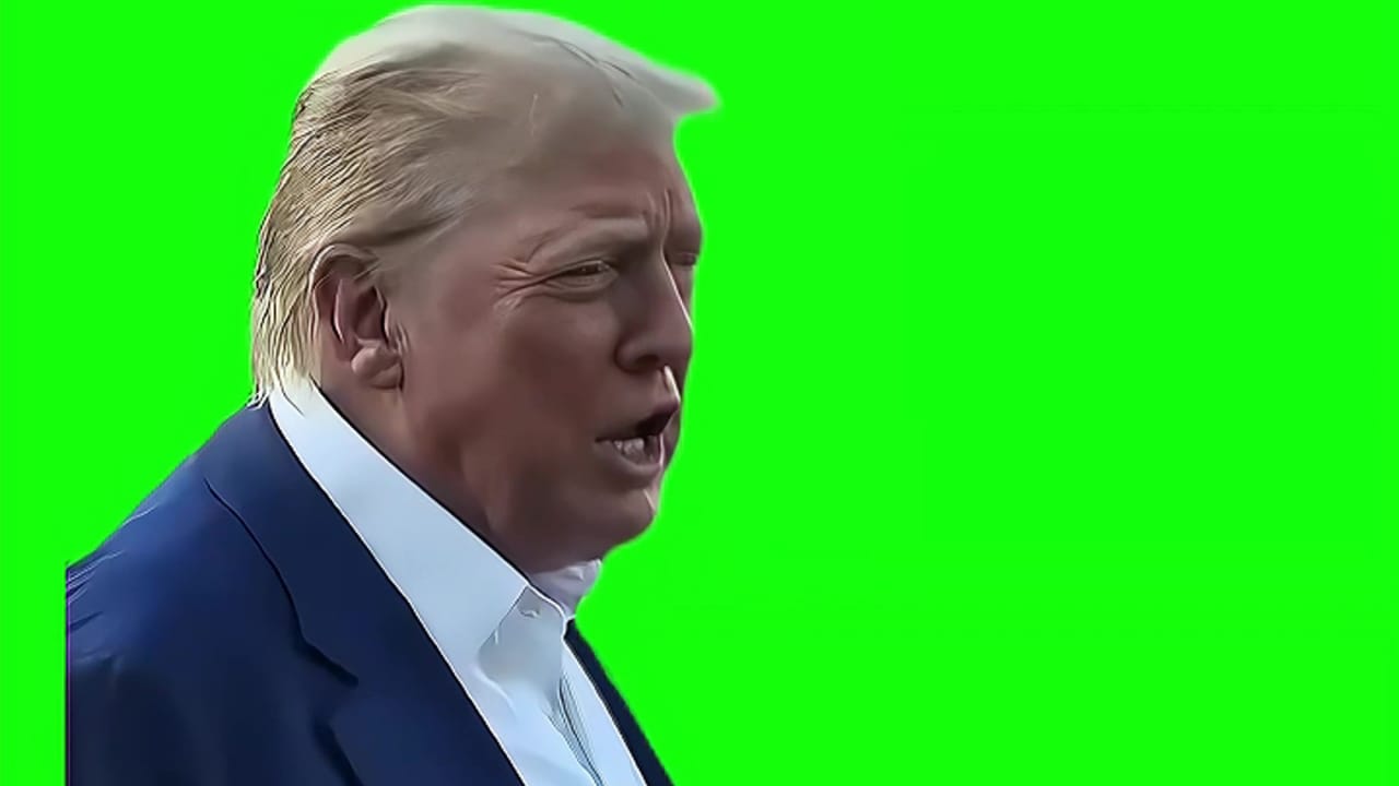 Donal Trump “that they don’t know what the fk they’re doing” Meme Green Screen