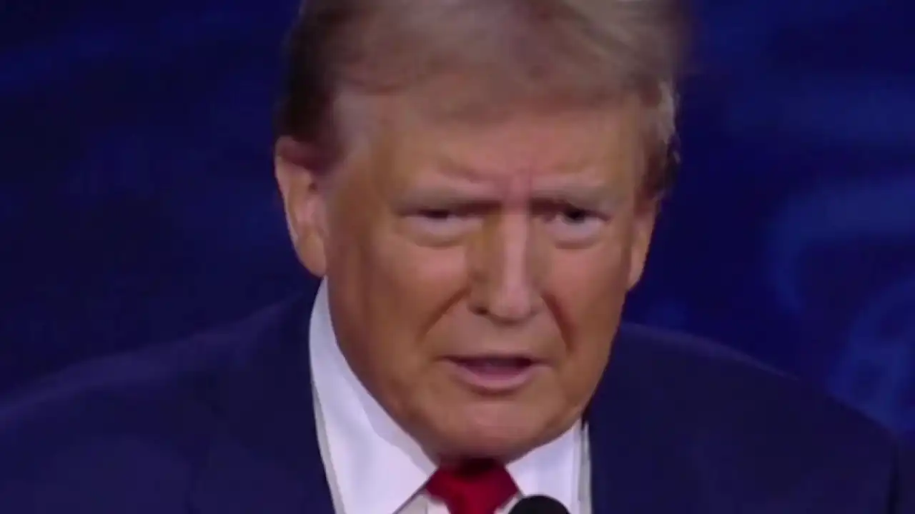 Donald trump They are eating the dogs meme