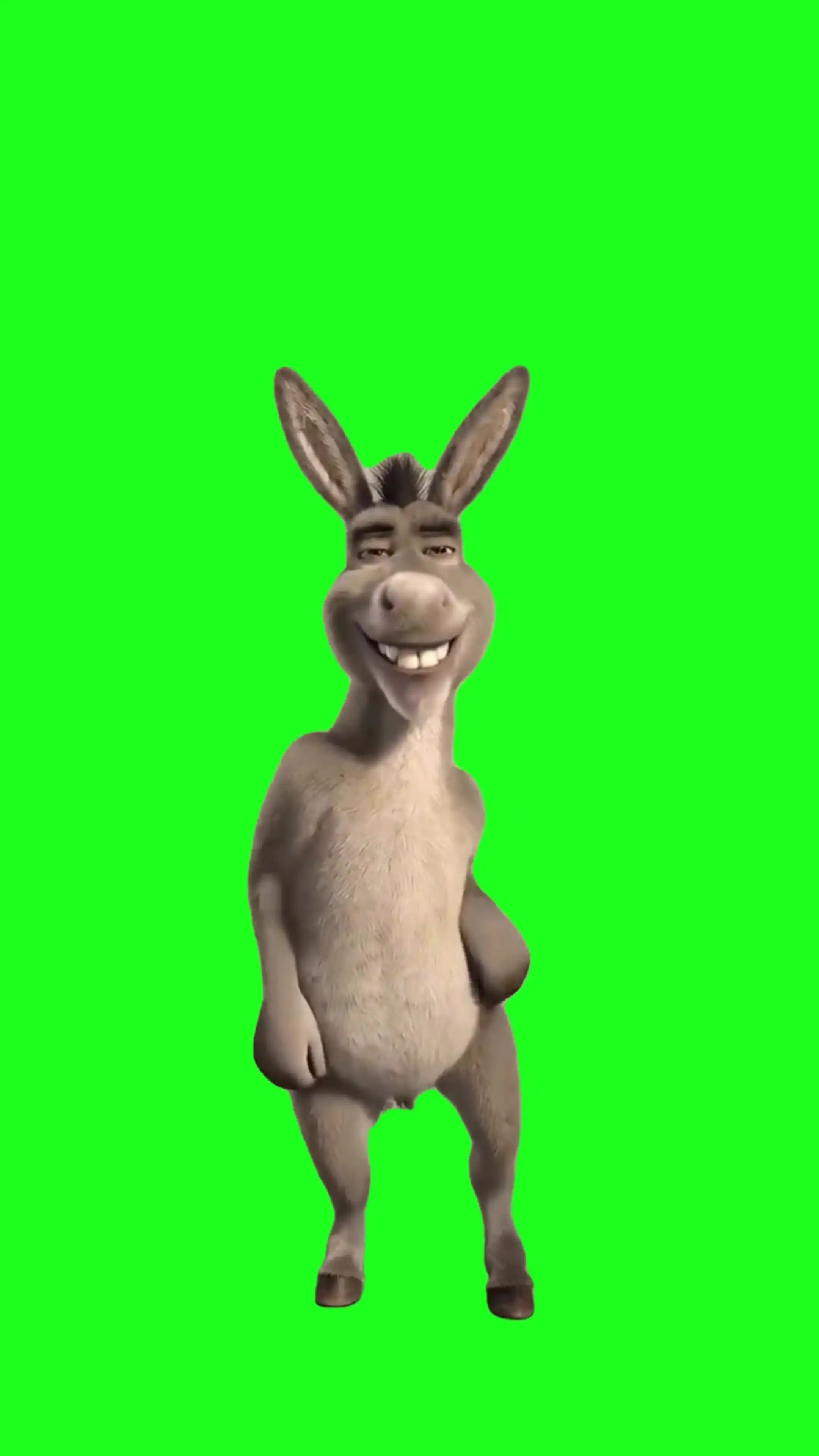 Donkey shake it Green Screen Meme