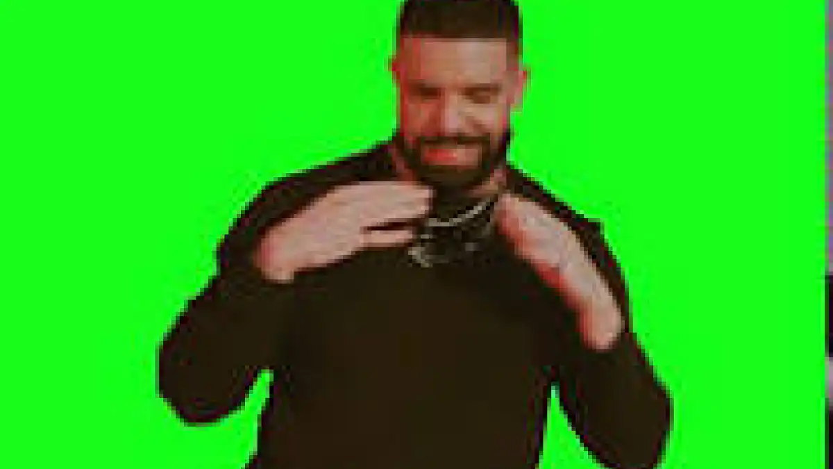 Drake thank you for the 20 cent tip green screen