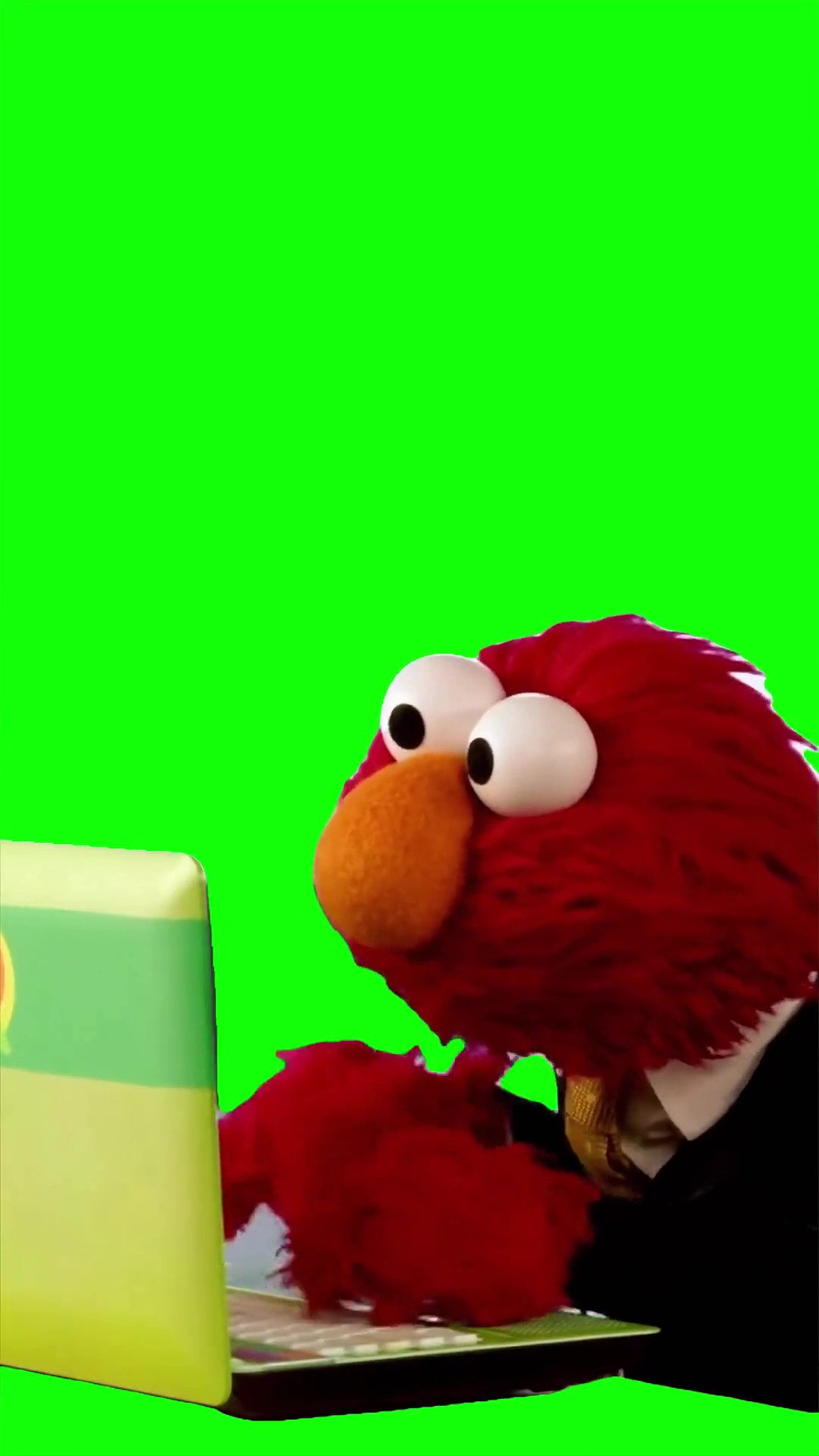 Elmo typing on computer Green Screen Meme