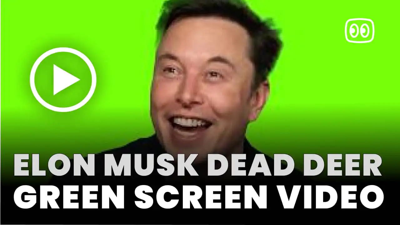 Elon musk dead deer Green Screen