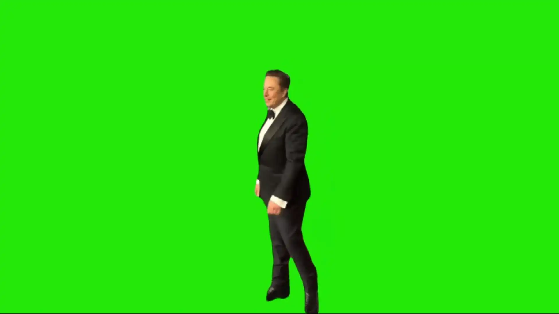 Elon Musk Meme green screen