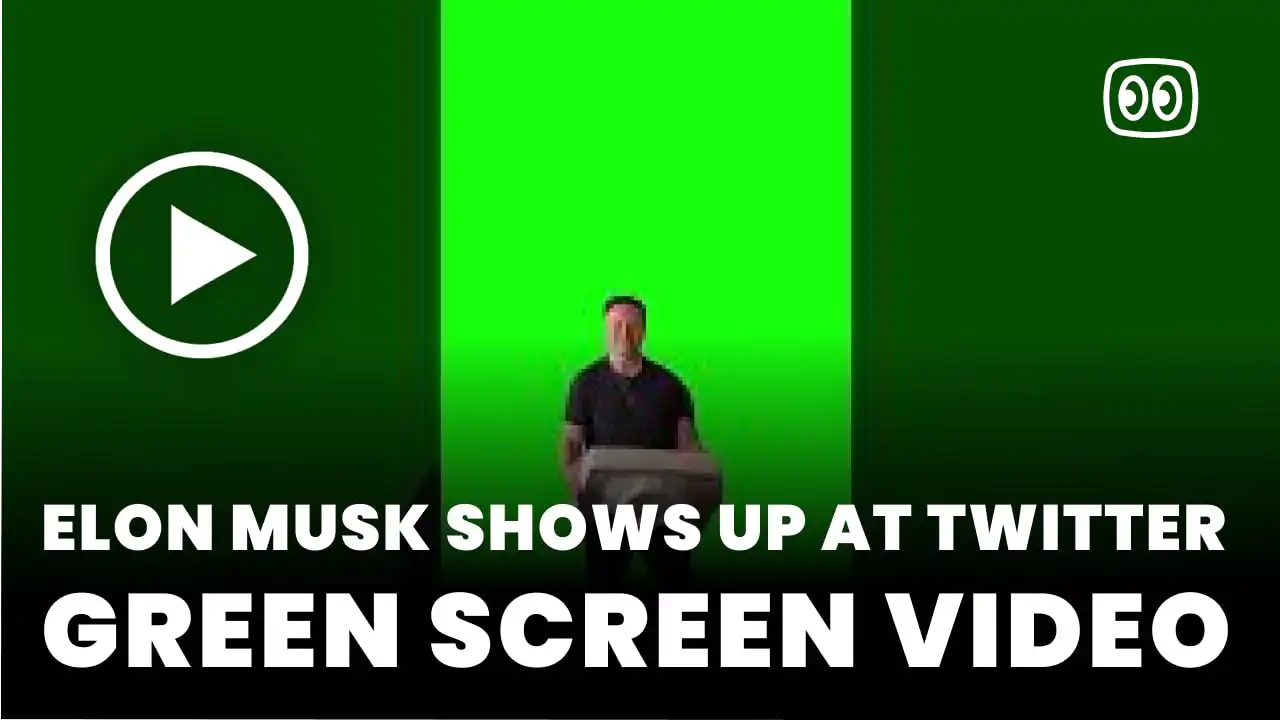 Elon Musk shows up at Twitter Green Screen