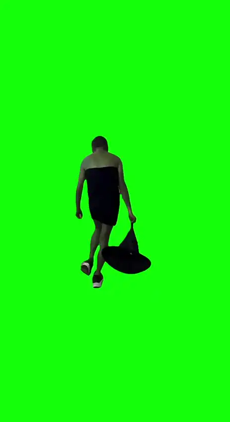 Elphaba is that you Meme green screen