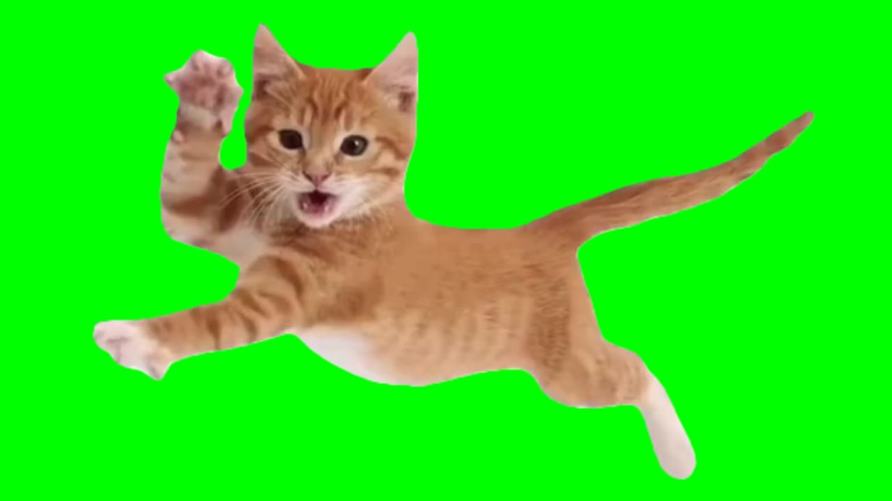 Everyone do the flop Green Screen