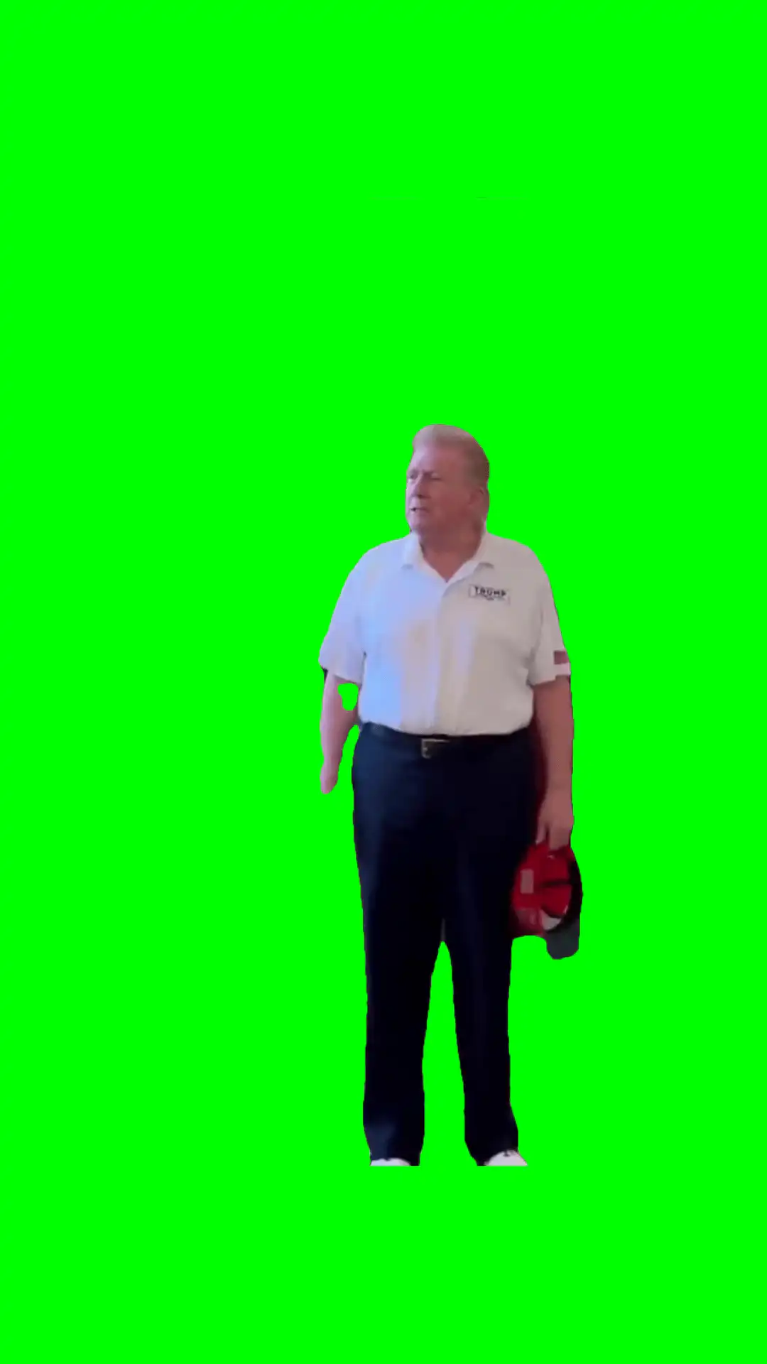 Everyone having good time meme green screen