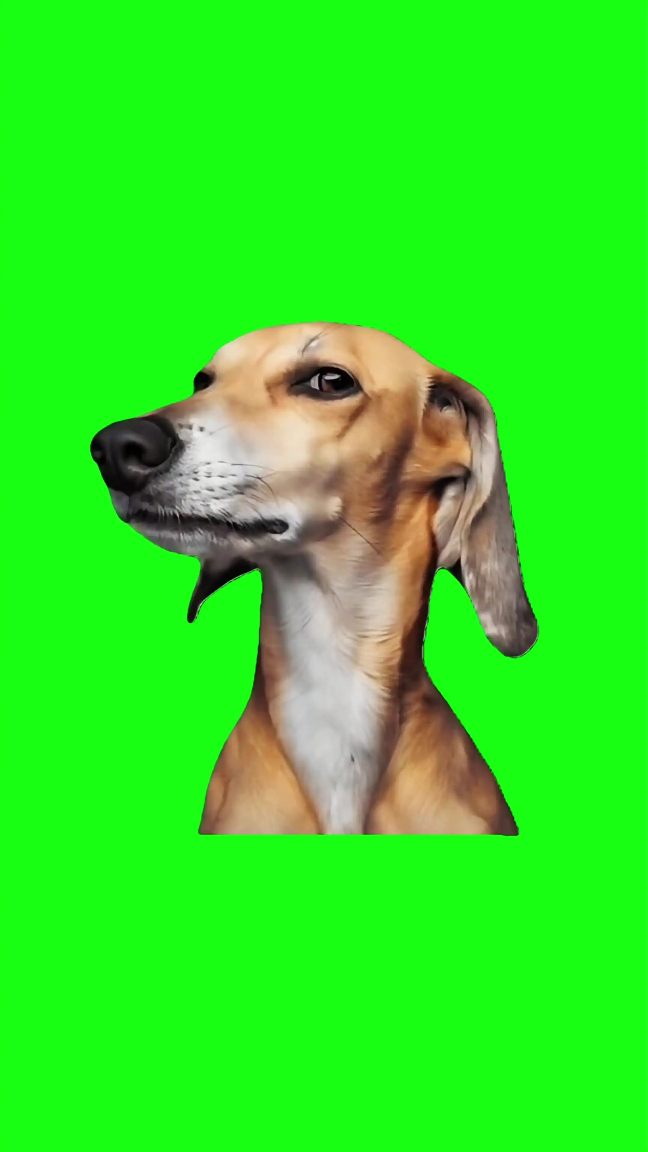 Evil smile Green Screen Meme