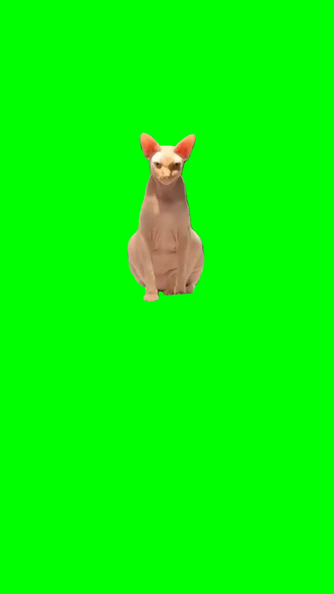 Evil sphinx green screen
