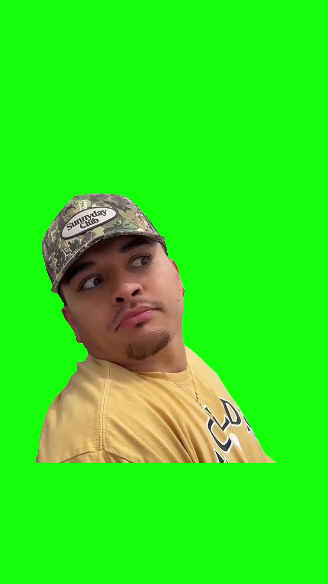 Eye roll green screen meme