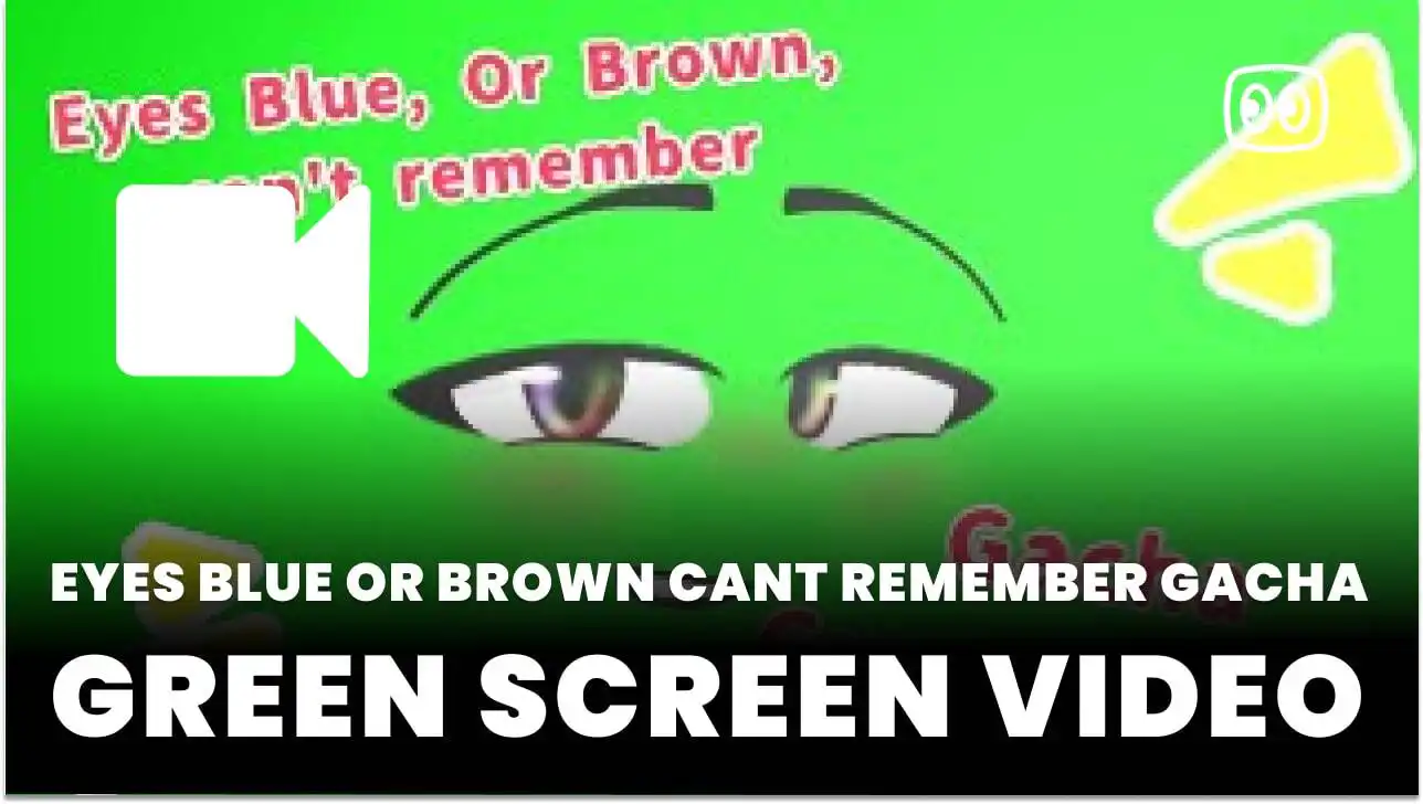 Eyes blue or brown cant remember Gacha