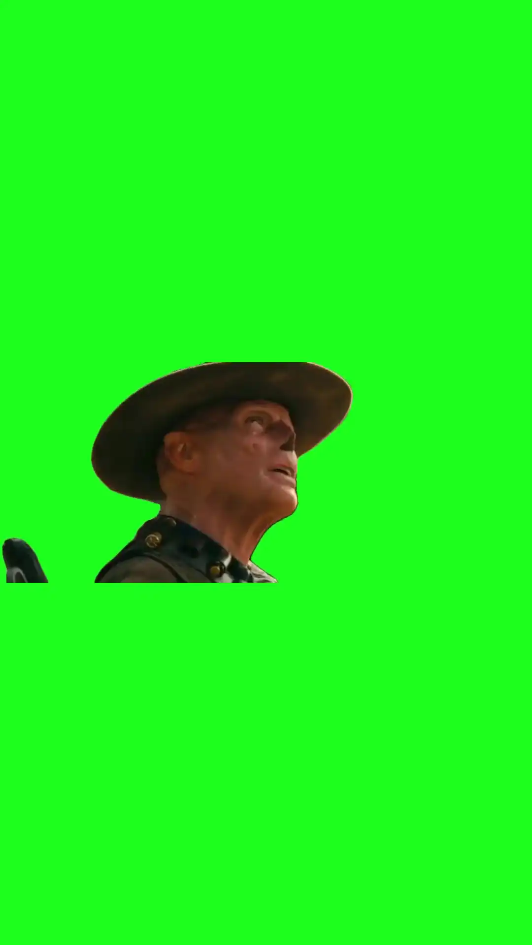 FalloutGod a medical situation Green Screen Meme