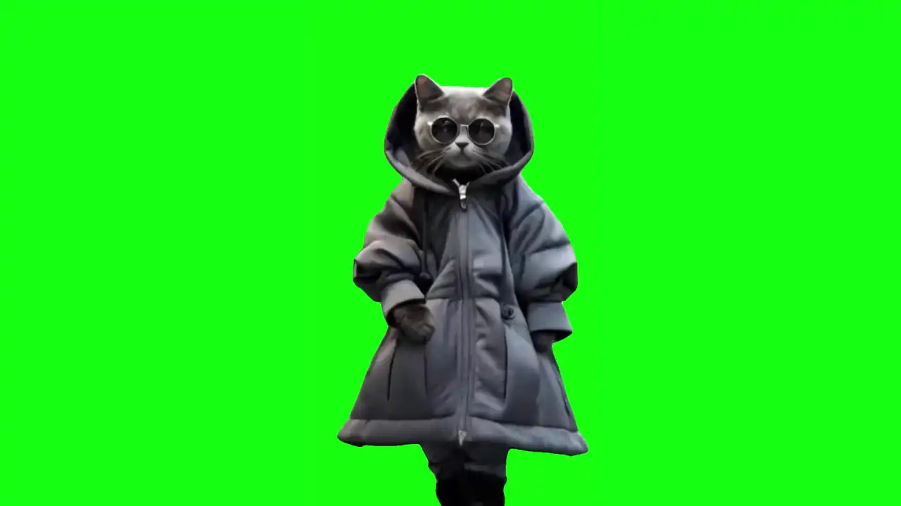 fashion cat walk 2024 green screen