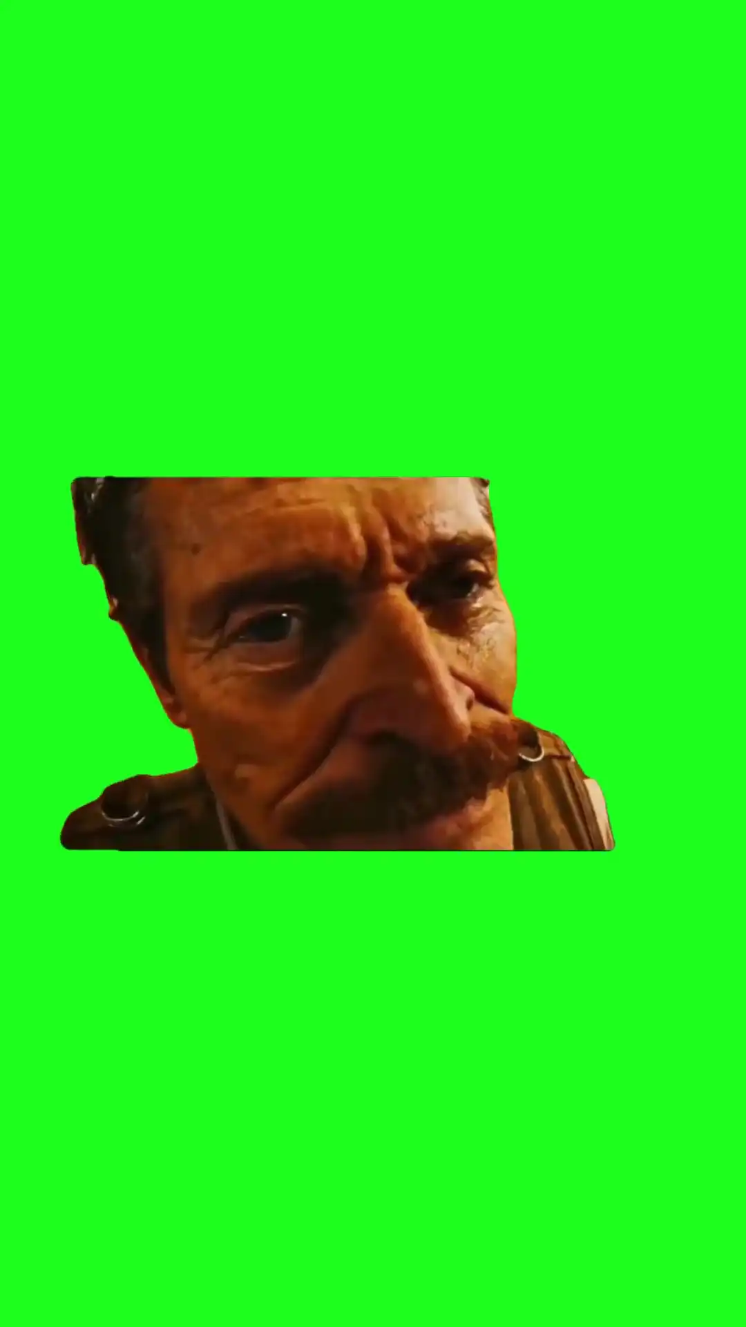 Fed up face Green Screen Meme