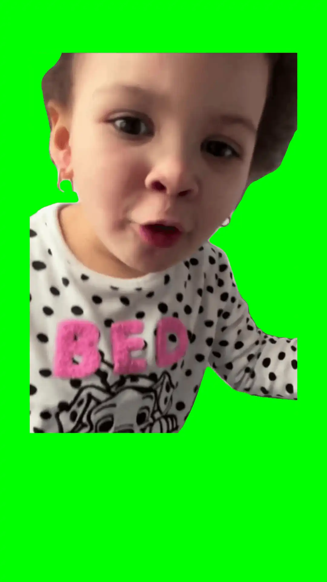 Fk off you fat pig memes green screen
