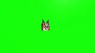 Floppa cube green screen