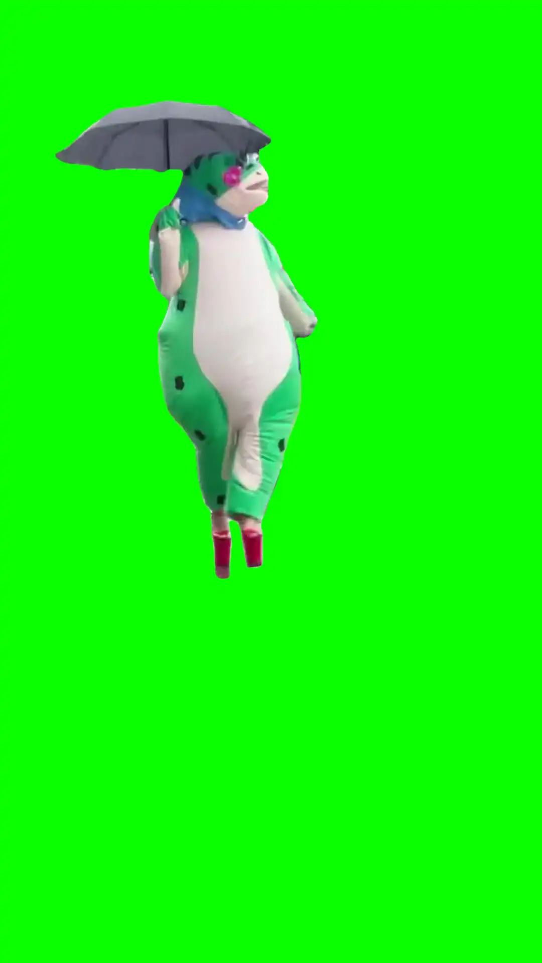 Frog in the rain green screen